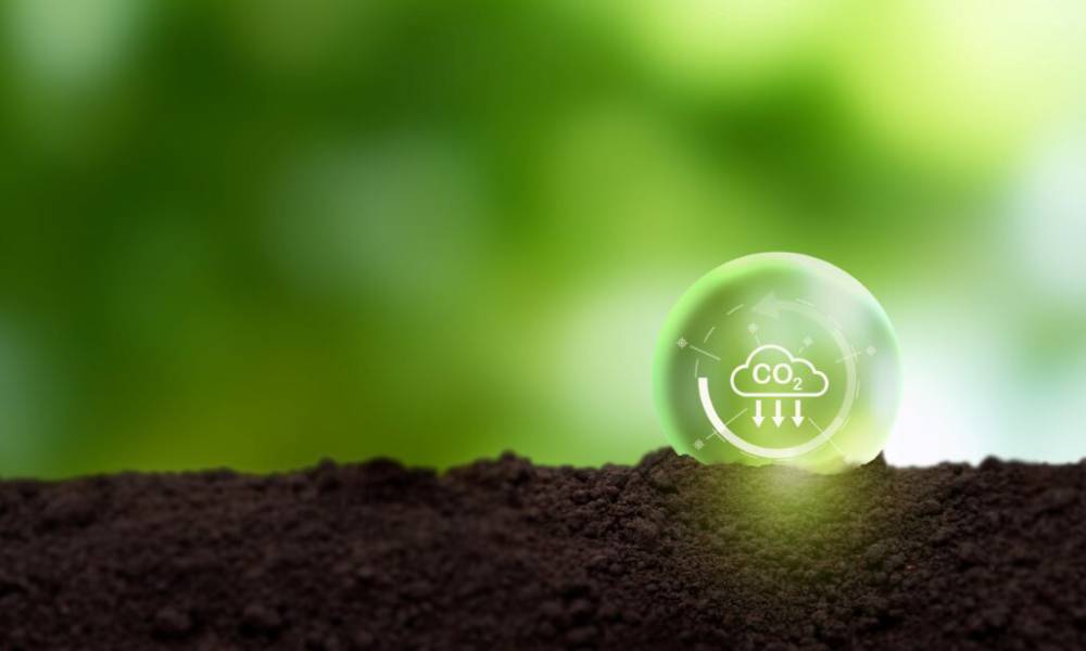 Unleashing Efficiency: The Power of Energy Management Systems